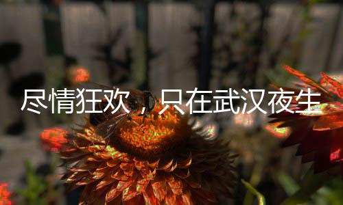 寻找无尽欢愉的秘密花园——武汉夜生活！
